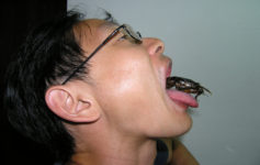 Just Say NO To Bugs In Thailand!!!!