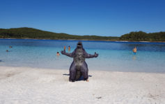 Godzilla Vs Fraser Island – My scariest and funniest trip ever!